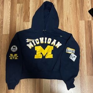 Michigan crop patches hoodie
